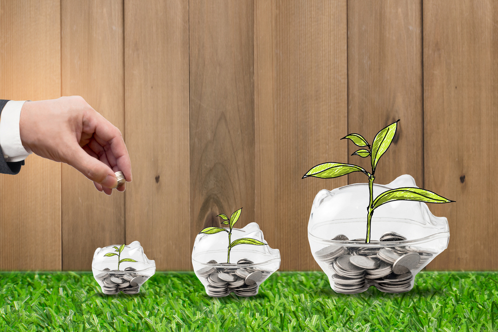 FD Account In Order And Maximise Benefits
